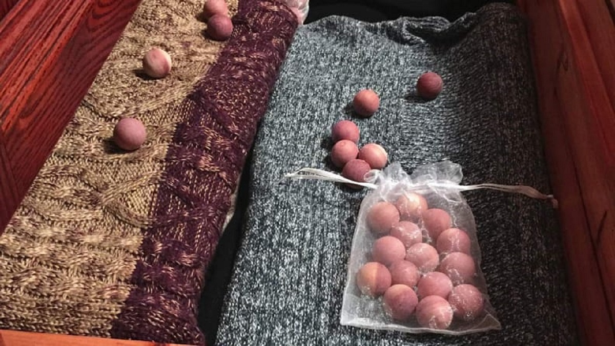 چوب سدر برای رفع بیدزدگی لباس