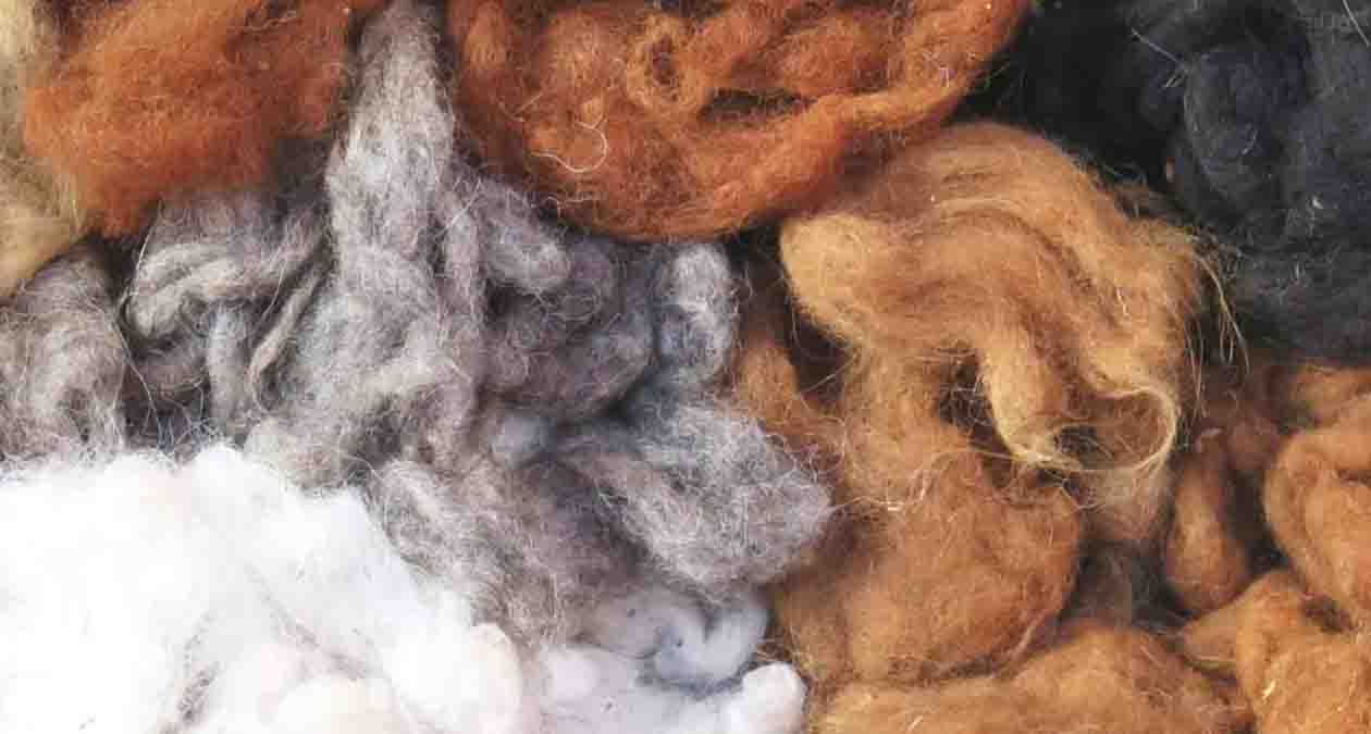 منشا پارچه پشمی