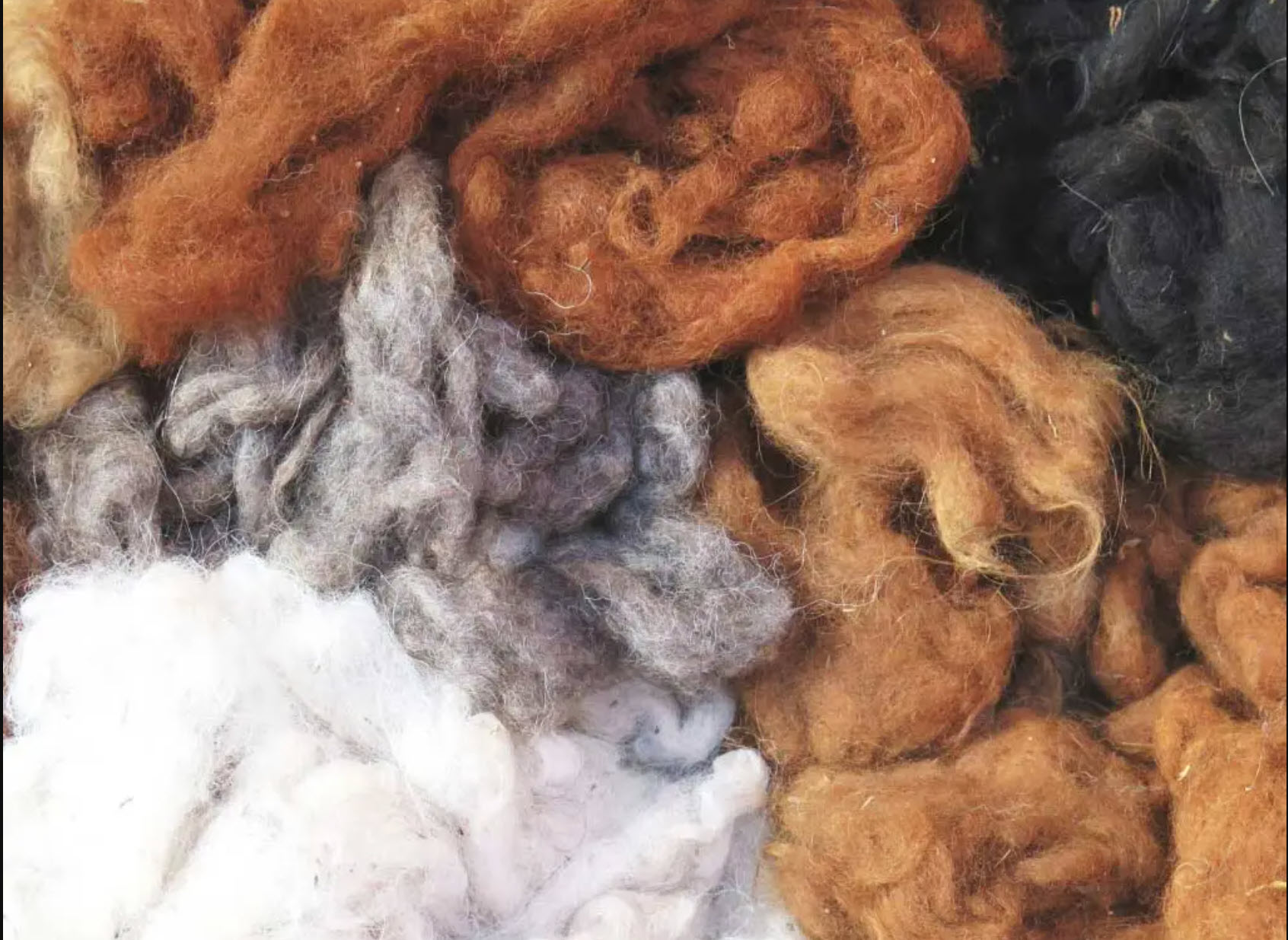 منشا پارچه پشمی